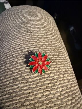 Festive Red & Green Poinsettia Brooch for Women
